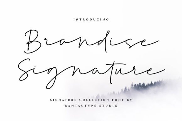 Brandise Signature: Elegant Script Font for Handmade Products