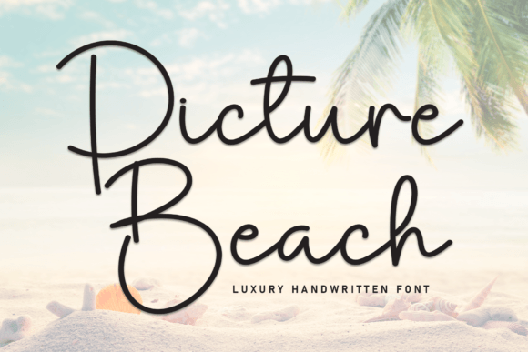Picture Beach: A Stylish Script Font for Elegant Brand Identity