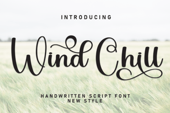 Wind Chill Typeface: Elevate Your Campaign Visuals with Timeless Script Design