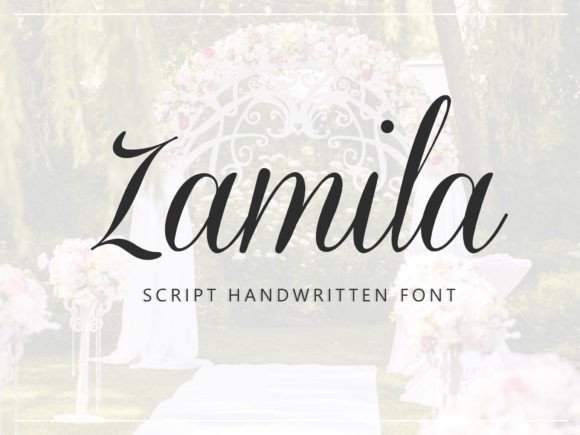 Zamila Typeface Review: Elegant Script for Digital Branding